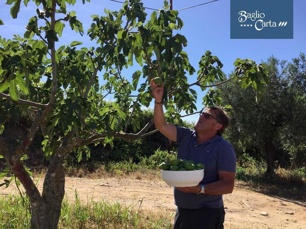 Azienda Agrituristica Baglio Carta Balestrate ภายนอก รูปภาพ